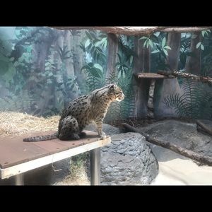 Meet your Posher, Brionna